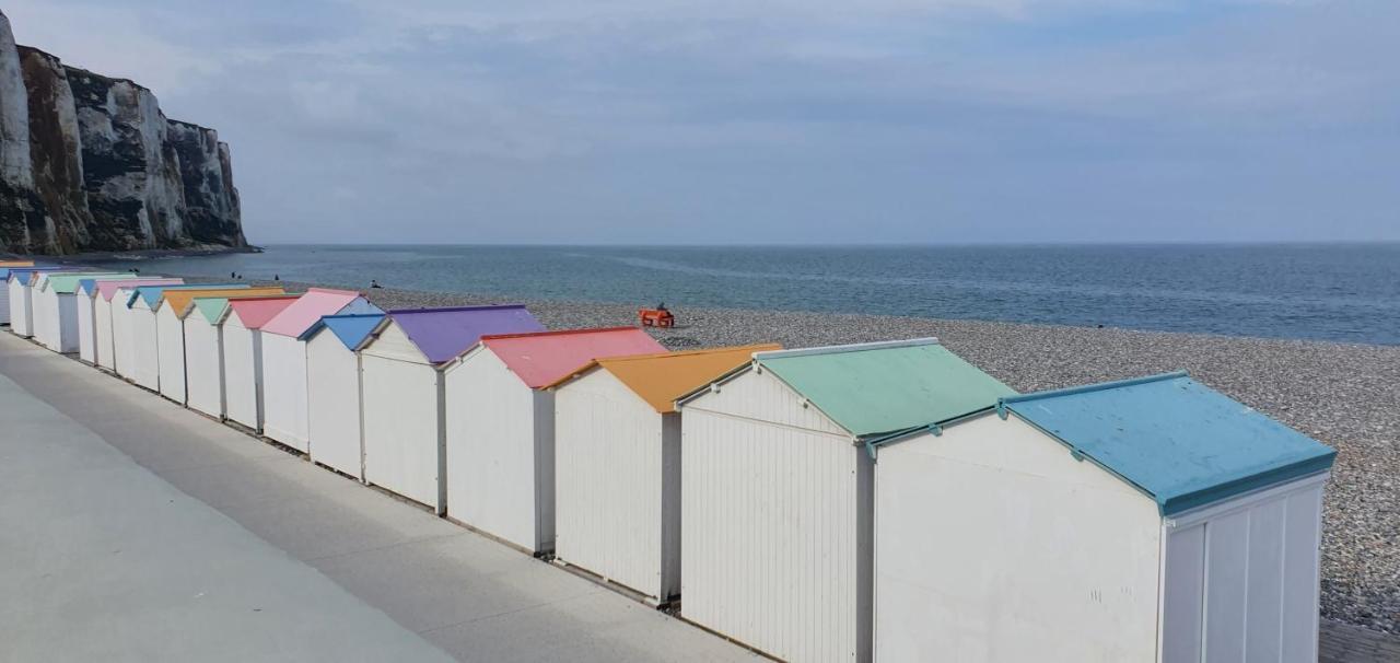 Vue Sur Et Sur L Entree Du Port *
